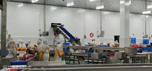 新時期中國物流冷庫項目 庫體保溫 制冷系統(tǒng)設計與設備選擇