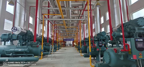 新時期中國物流冷庫項目 庫體保溫 制冷系統(tǒng)設計與設備選擇